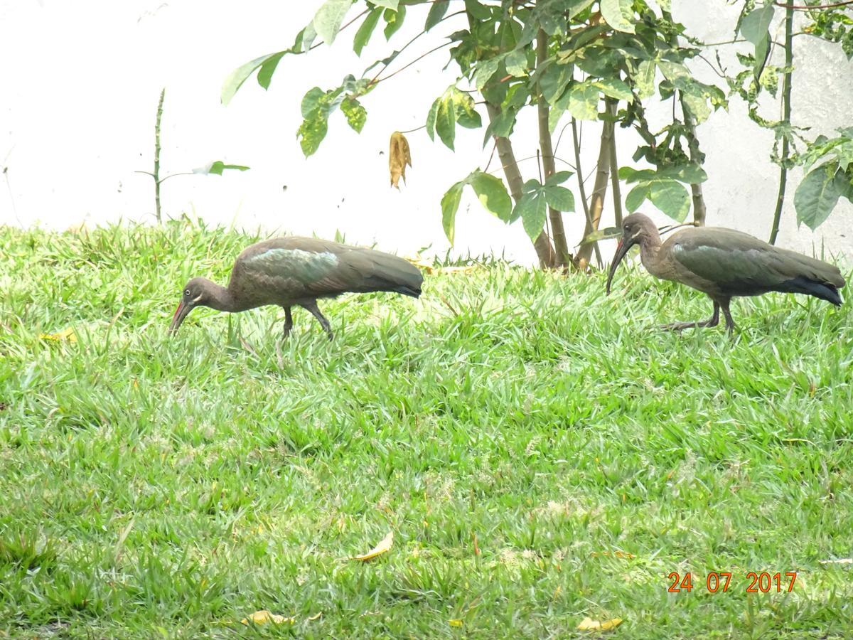 Kivu Beach Garden Gisenyi Esterno foto