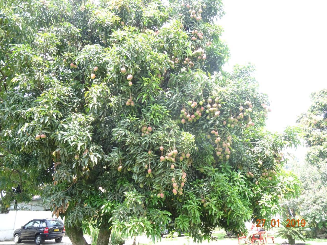 Kivu Beach Garden Gisenyi Esterno foto